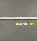 Alpha Ropes Cruiser 10Mm