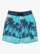 Quiksilver Kids Everyday Printed Volley Boy 13