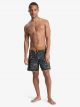 Quiksilver Surfsilk Scallop 18