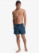 Quiksilver Everyday Deluxe Volley 15
