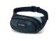 Dakine Hip Pack